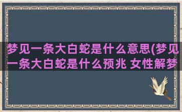 梦见一条大白蛇是什么意思(梦见一条大白蛇是什么预兆 女性解梦)